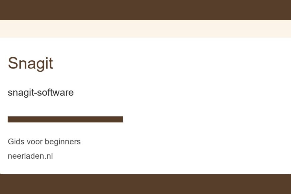 snagit-software voor beginners