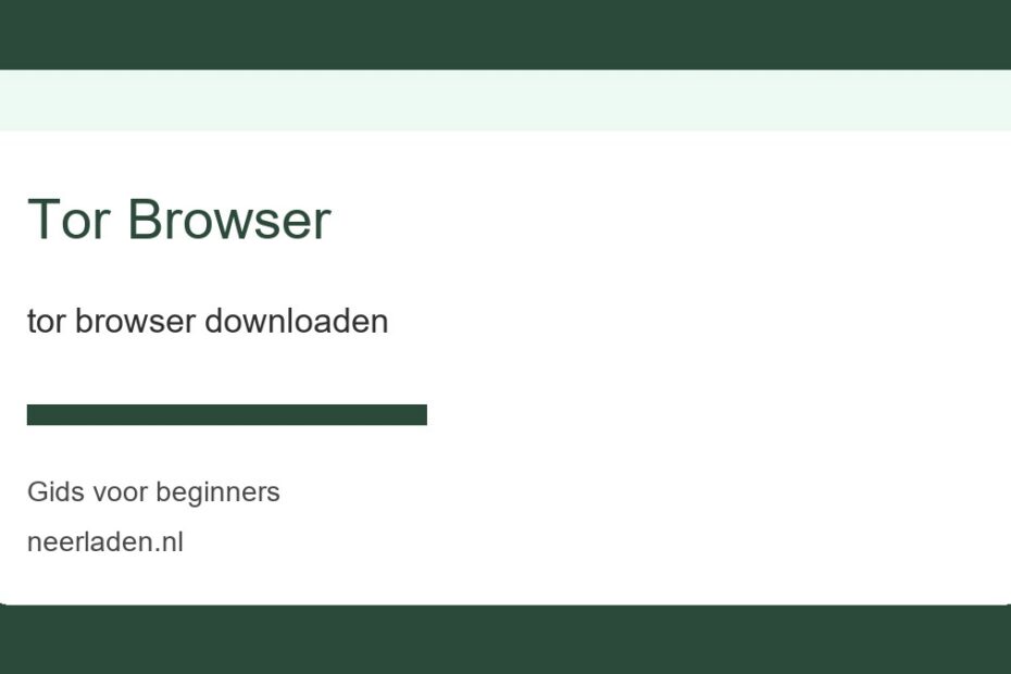 tor browser downloaden voor beginners