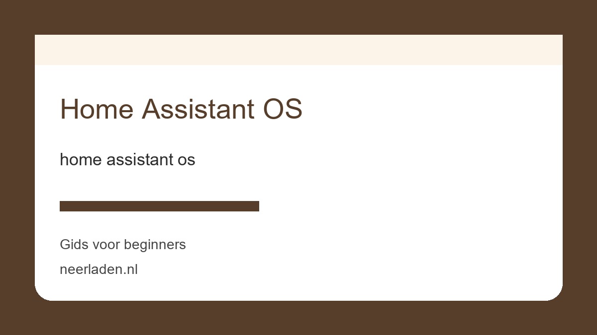 home assistant os voor thuisgebruikers met veel data