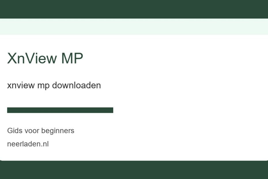 xnview mp downloaden voor beginners