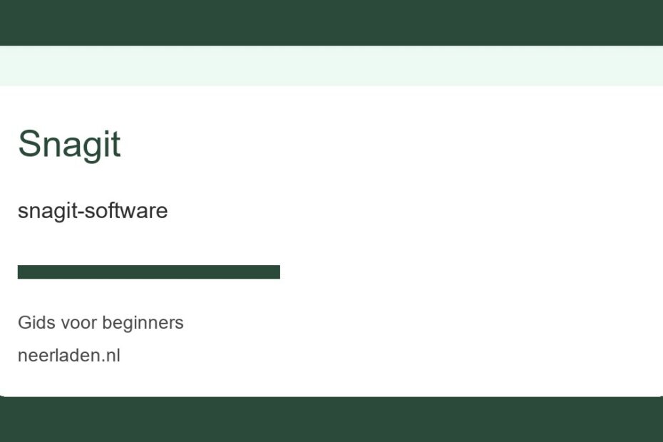 snagit-software voor beginners