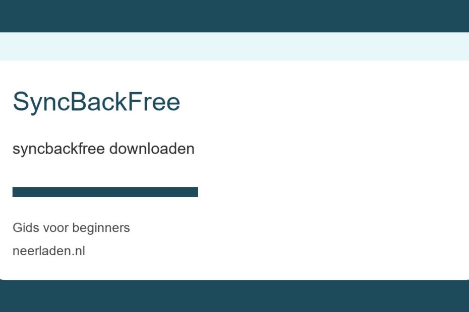 syncbackfree downloaden voor beginners