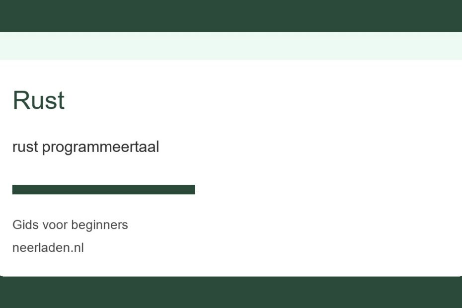 rust programmeertaal voor beginners