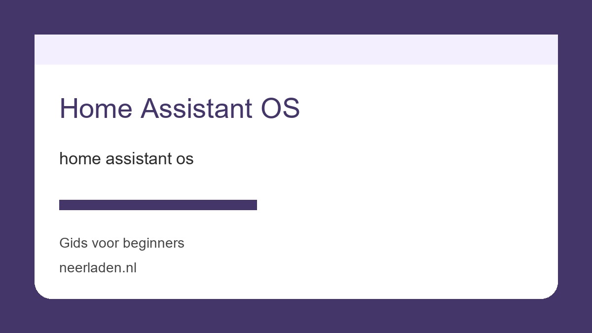home assistant os voor thuisgebruikers met veel data
