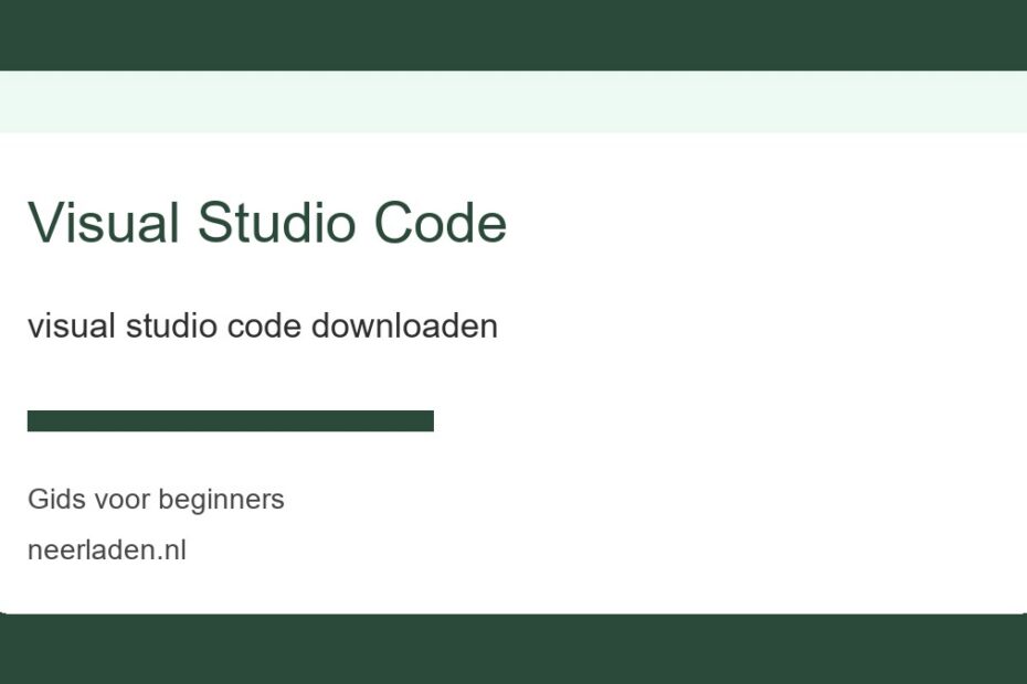 visual studio code downloaden voor beginners