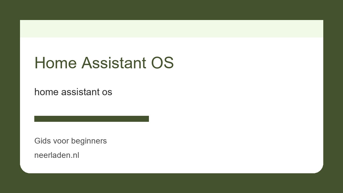 home assistant os voor thuisgebruikers met veel data