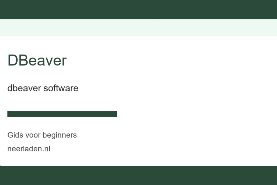 dbeaver software voor beginners