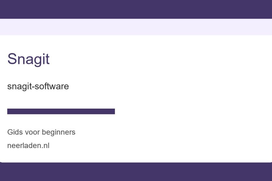snagit-software voor beginners